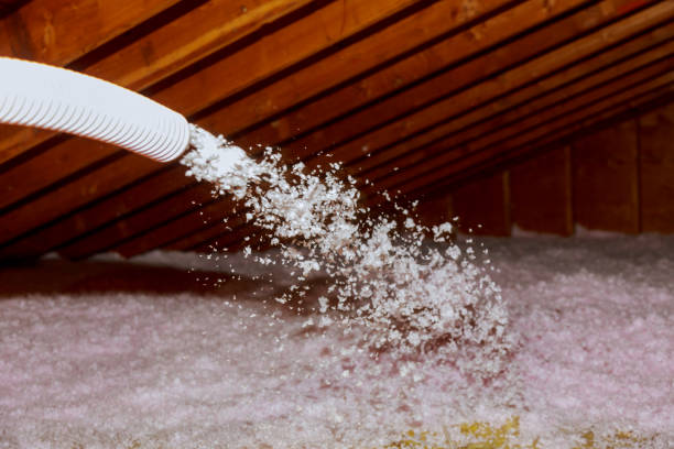 Best Types of Insulation in Dolan Springs, AZ