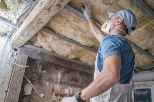 Best Insulation Maintenance and Repair in Dolan Springs, AZ
