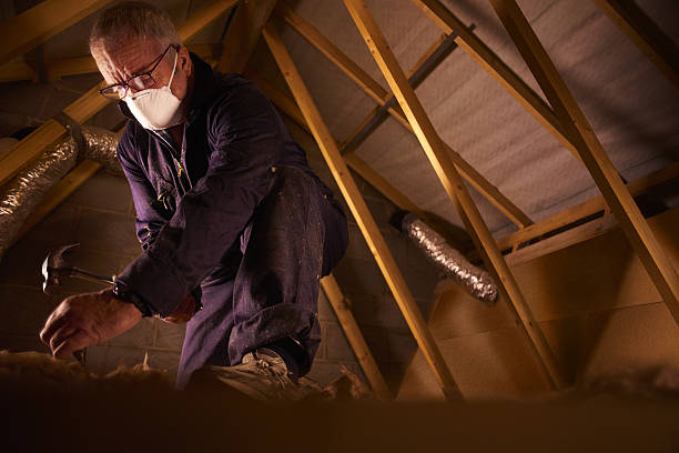 Best Insulation Installation Services in Dolan Springs, AZ